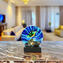 Fish Scultpure Sommerso com lâmpada led - Vidro Murano original omg