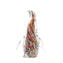 Pinguino figurina - Multicolor sommersi - 1 Pezzo - Vetro di Murano
